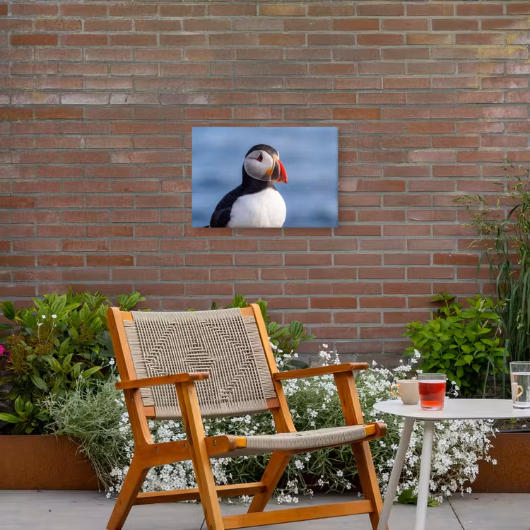 Papegaaiduiker - Portret - Natuur Tuinposter op houten frame 2 cm dik klein -sfeer3