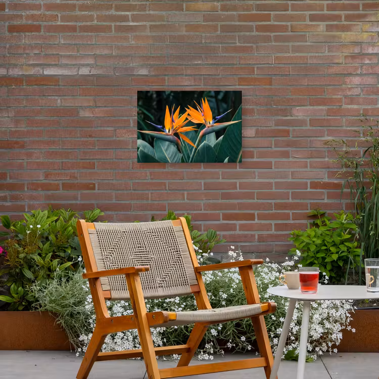 Paradijsvogel - Bloem - Exotisch Tuinposter op houten frame 2 cm dik klein -sfeer3