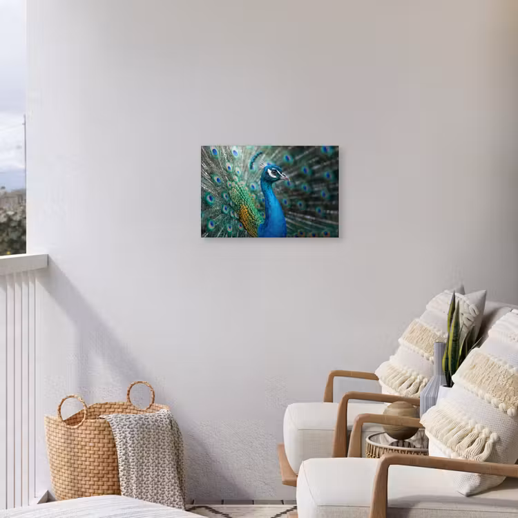 Pauw - Veren - Blauw Tuinposter op houten frame 2 cm dik klein -sfeer1