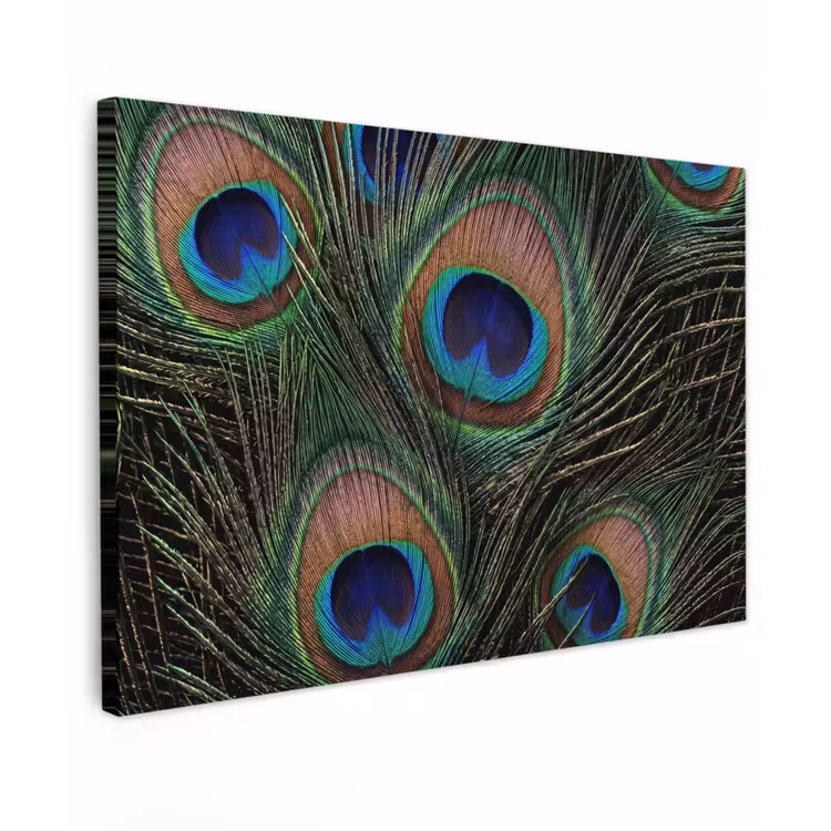 Pauwenveren - Klassiek - Groen Tuinposter op houten frame 2 cm dik klein -3d