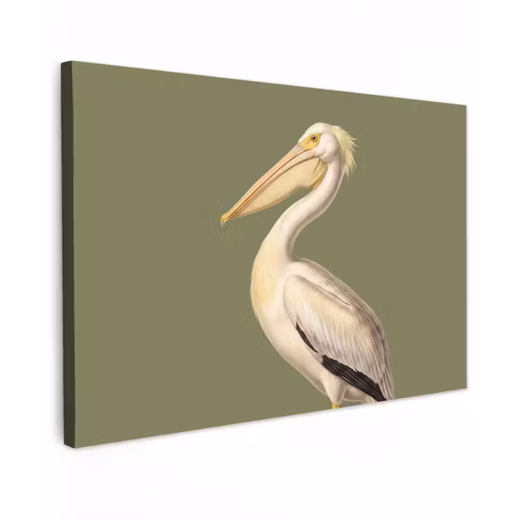 Pelikaan - Wit - Vogel - Klassiek - Natuur Tuinposter op houten frame 2 cm dik klein -3d