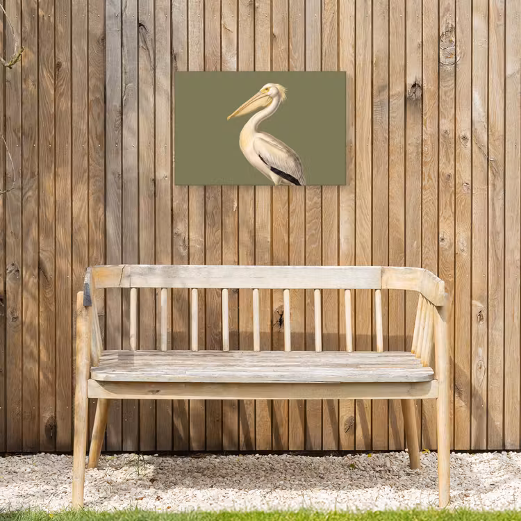 Pelikaan - Wit - Vogel - Klassiek - Natuur Tuinposter op houten frame 2 cm dik klein -sfeer4