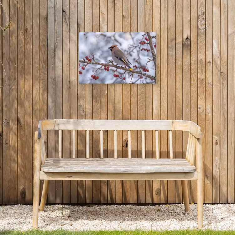 Pestvogel - Bessen - Winter - Natuur Tuinposter op houten frame 2 cm dik klein -sfeer4