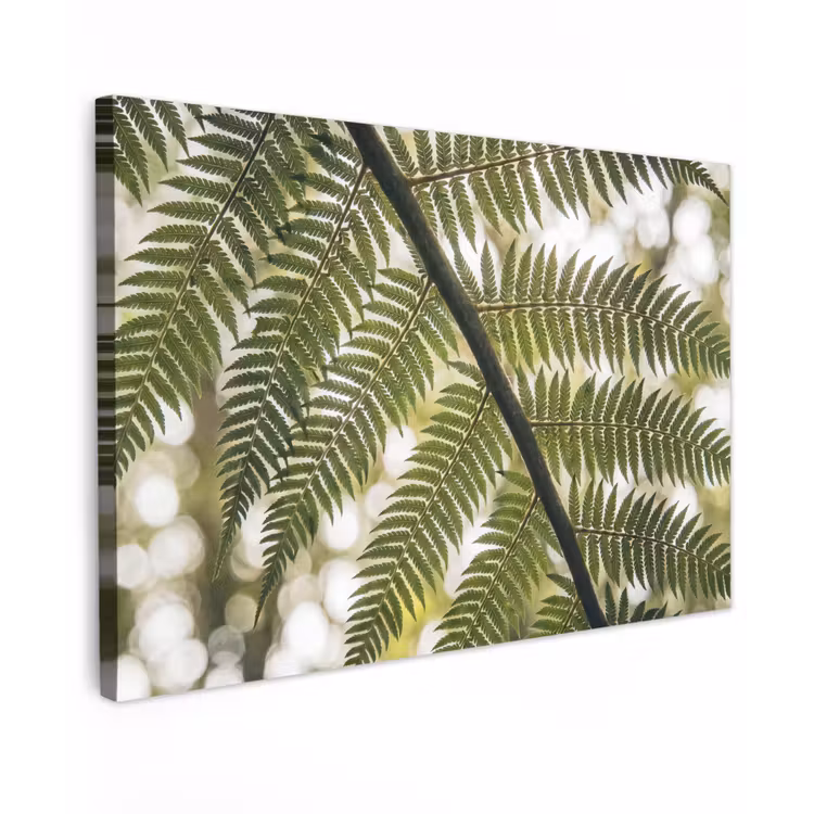 Plant - Blad - Natuur - Groen - Detail Tuinposter op houten frame 2 cm dik klein -3d