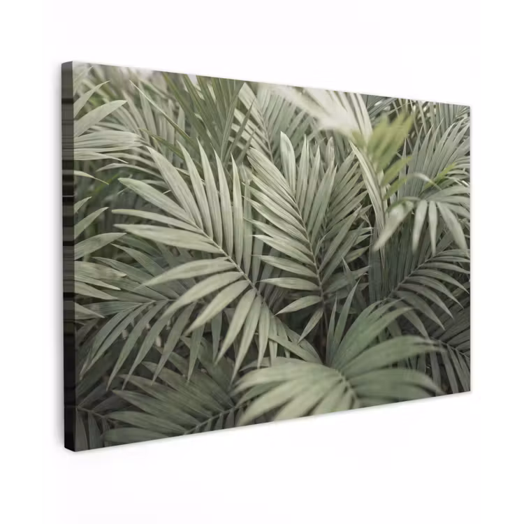 Plant - Palmbladeren - Natuur - Groen Tuinposter op houten frame 2 cm dik klein -3d