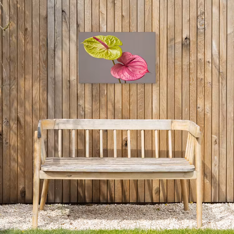Planten - Anthurium - Groen - Roze Tuinposter op houten frame 2 cm dik klein -sfeer4