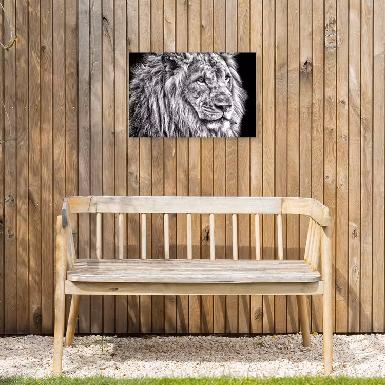 Portret - Leeuw - Zwart wit Tuinposter op houten frame 2 cm dik klein -sfeer4