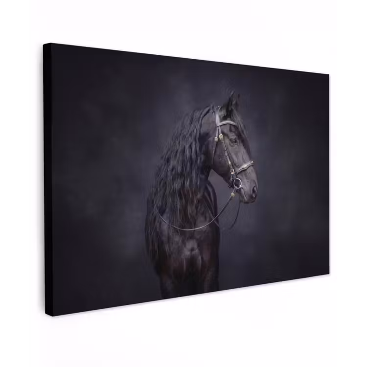 Portret - Paard - Donker Tuinposter op houten frame 2 cm dik klein -3d