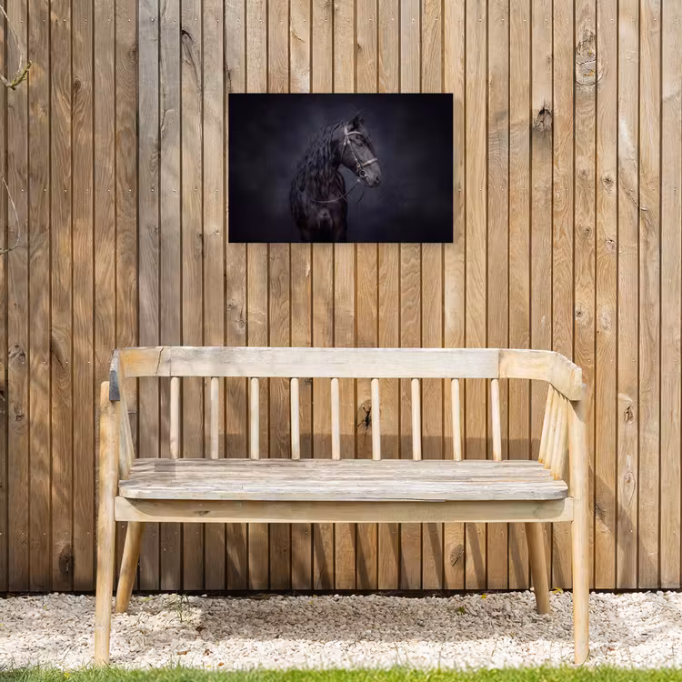 Portret - Paard - Donker Tuinposter op houten frame 2 cm dik klein -sfeer4