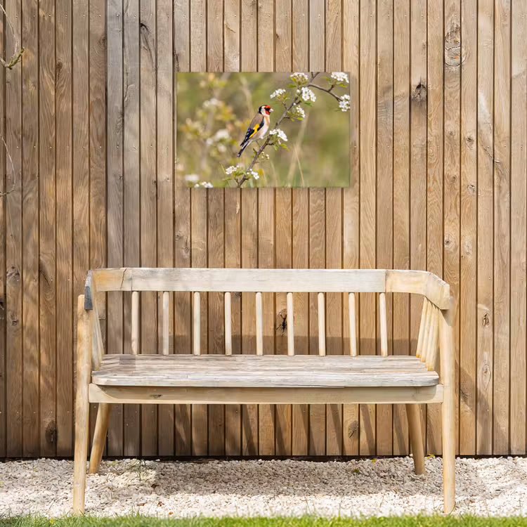 Putter - Bloesem - Lente - Natuur - Kleurrijk Tuinposter op houten frame 2 cm dik klein -sfeer4