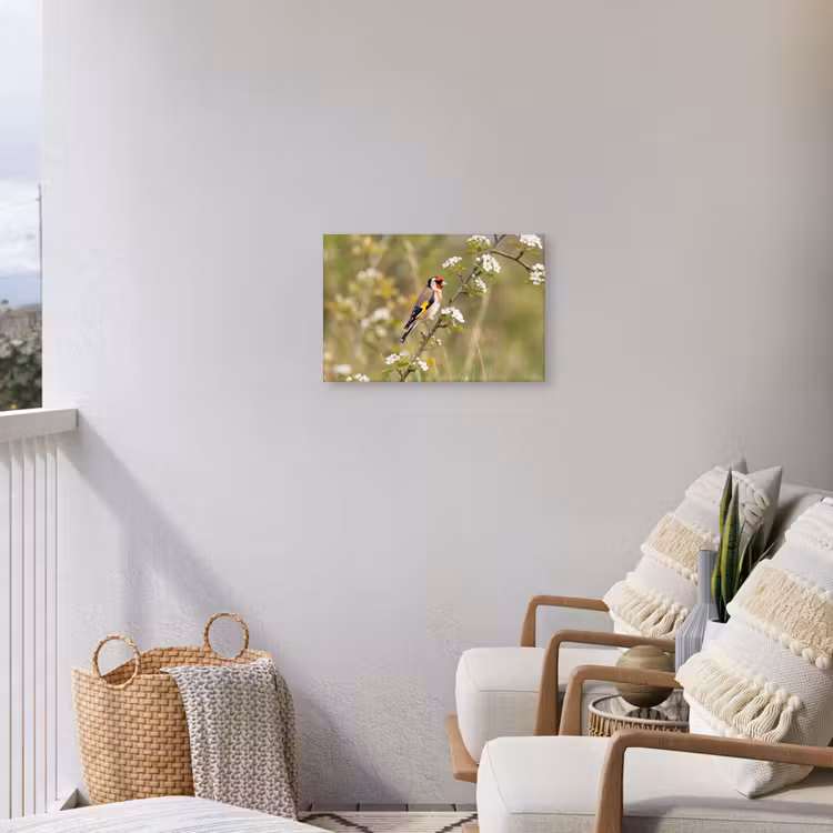 Putter - Bloesem - Lente - Natuur - Kleurrijk Tuinposter op houten frame 2 cm dik klein -sfeer1