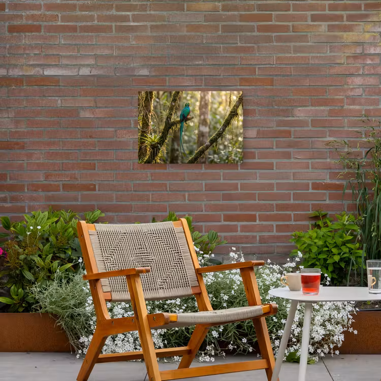 Quetzal - Jungle - Natuur - Groen Tuinposter op houten frame 2 cm dik klein -sfeer3