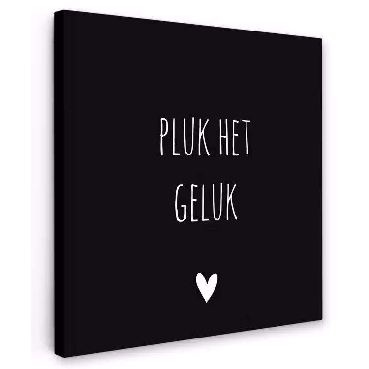 Quote - Spreuken - Pluk het geluk Tuinposter op houten frame 2 cm dik middel -3d