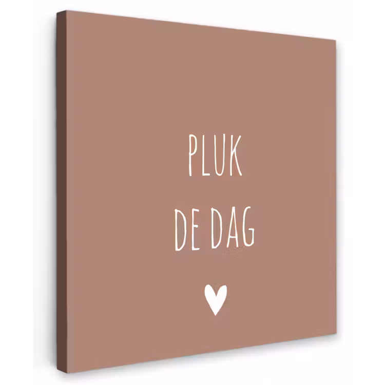 Quotes - Carpe diem - Pluk de dag - Spreuken Tuinposter op houten frame 2 cm dik middel -3d