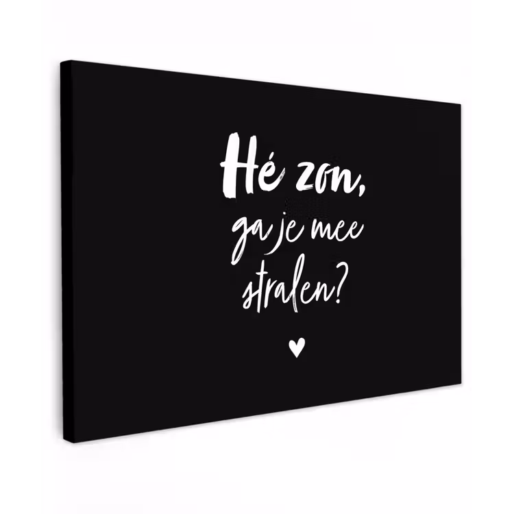 Quotes - Hé zon, ga je mee stralen? - Zomer - Tekst - Zon Tuinposter op houten frame 2 cm dik klein -3d