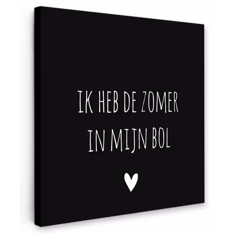 Quotes - Ik heb de zomer in mijn bol - André Hazes - Spreuken Tuinposter op houten frame 2 cm dik middel -3d