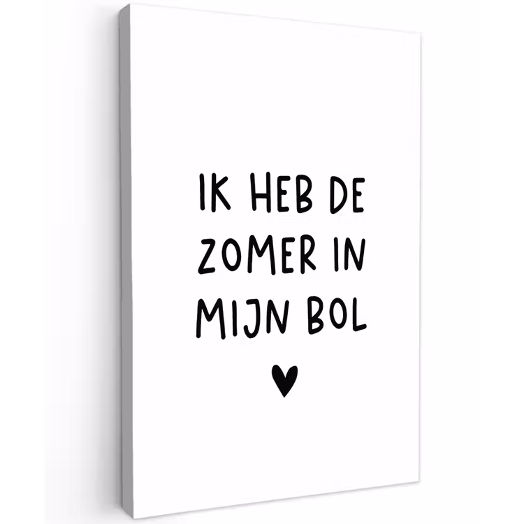 Quotes - Spreuken - André Hazes - Ik heb de zomer in mijn bol Tuinposter op houten frame 2 cm dik klein -3d