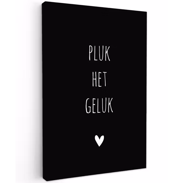 Quotes - Spreuken - Pluk het geluk Tuinposter op houten frame 2 cm dik klein -3d