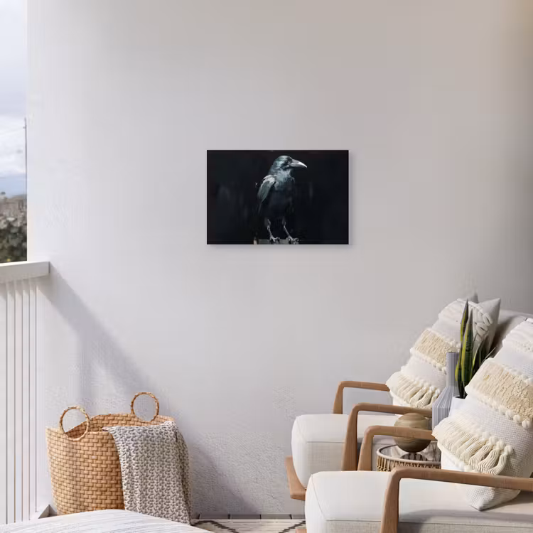 Raaf - Vogels - Zwart Tuinposter op houten frame 2 cm dik klein -sfeer1