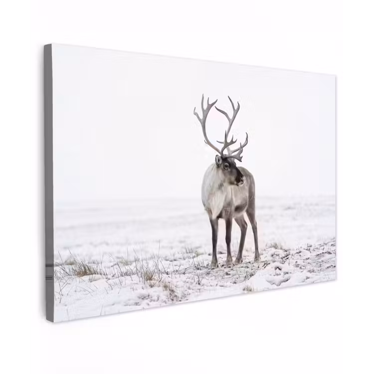 Rendier - Gewei - Sneeuw - Winter Tuinposter op houten frame 2 cm dik klein -3d