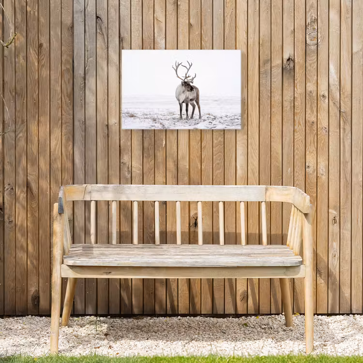 Rendier - Gewei - Sneeuw - Winter Tuinposter op houten frame 2 cm dik klein -sfeer4