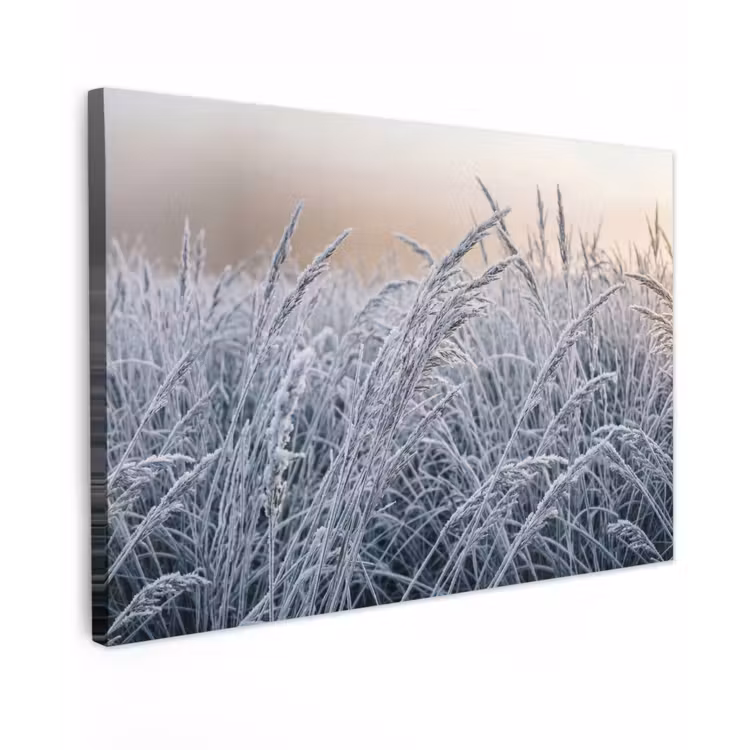 Rijp - Gras - Kristallen - Winter - Minimalistisch Tuinposter op houten frame 2 cm dik klein -3d