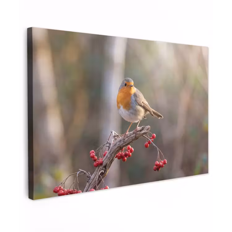 Roodborst - Tak - Bessen - Natuur Tuinposter op houten frame 2 cm dik klein -3d