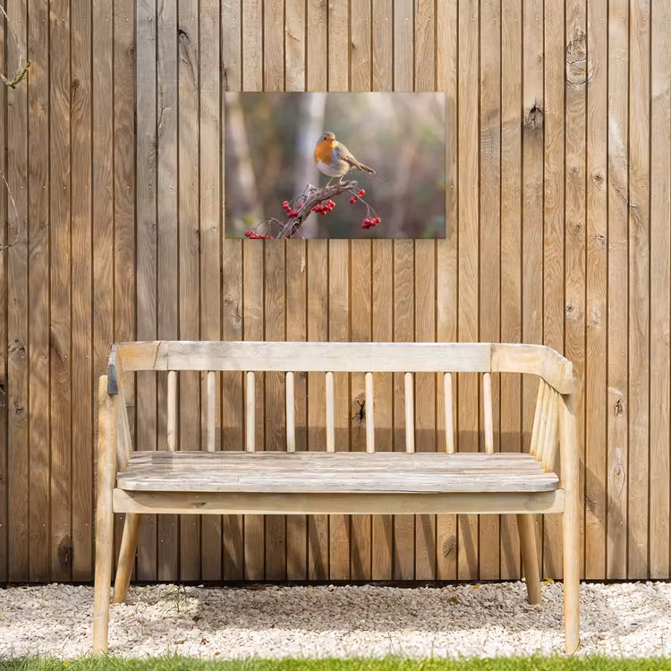 Roodborst - Tak - Bessen - Natuur Tuinposter op houten frame 2 cm dik klein -sfeer4