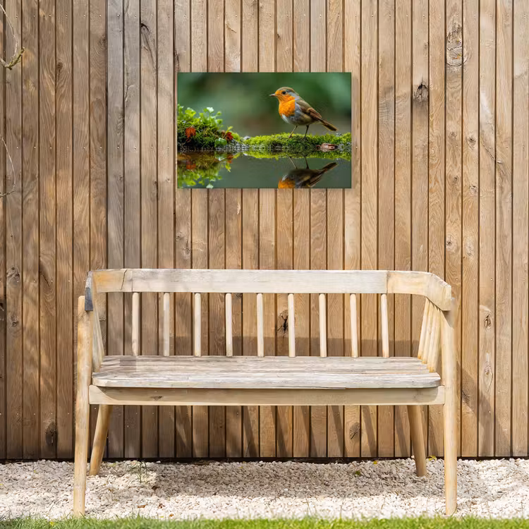 Roodborstje bij het Water Tuinposter op houten frame 2 cm dik klein -sfeer4