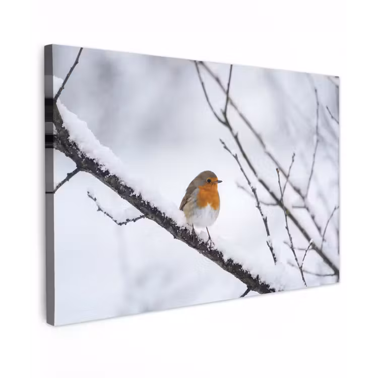 Roodborstje - Tak - Sneeuw - Winter - Levendig Tuinposter op houten frame 2 cm dik klein -3d