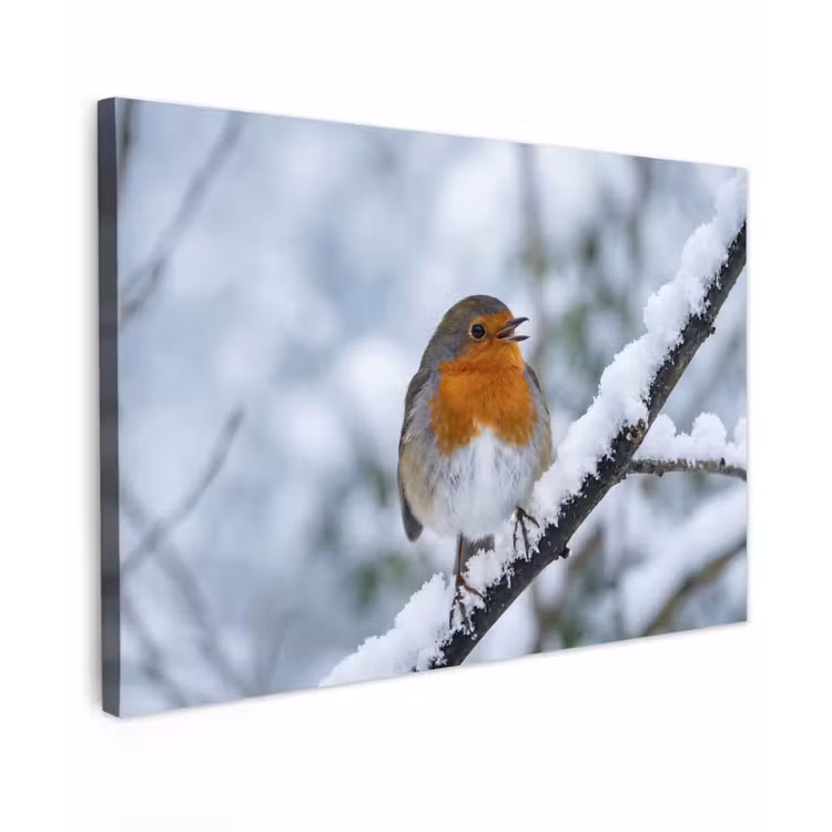 Roodborstje - Tak - Sneeuw - Winter - Levendig Tuinposter op houten frame 2 cm dik klein -3d