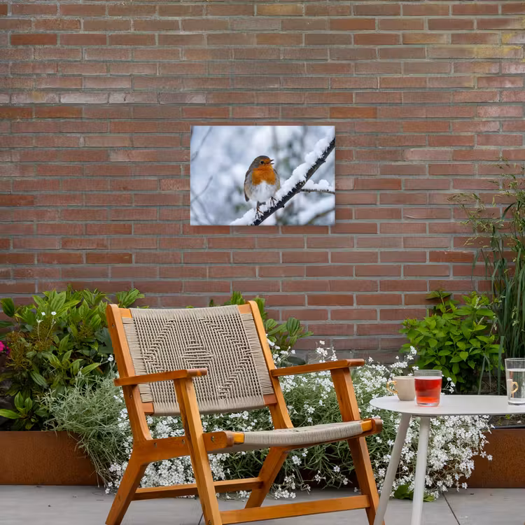 Roodborstje - Tak - Sneeuw - Winter - Levendig Tuinposter op houten frame 2 cm dik klein -sfeer3