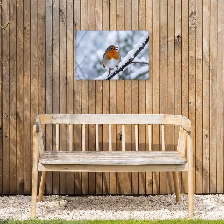 Roodborstje - Tak - Sneeuw - Winter - Levendig Tuinposter op houten frame 2 cm dik klein -sfeer4
