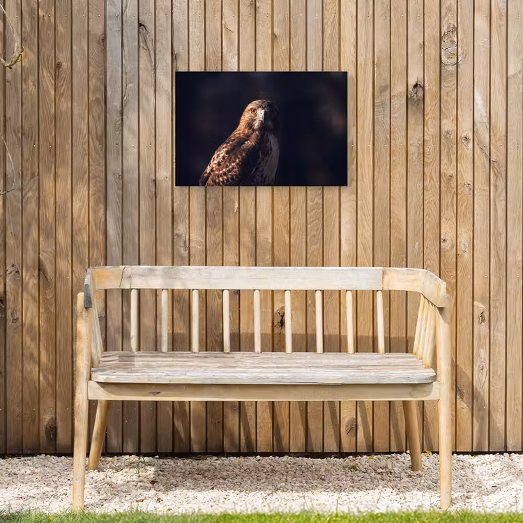 Roofvogel - Buizerd - Bruin Tuinposter op houten frame 2 cm dik klein -sfeer4