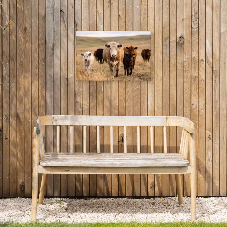 Runderen - Kudde - Landschap - Weide - Rustig Tuinposter op houten frame 2 cm dik klein -sfeer4