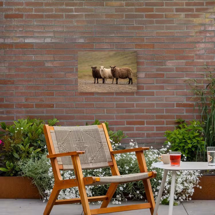Schapen - Bruin - Wit - Grindpad Tuinposter op houten frame 2 cm dik klein -sfeer3