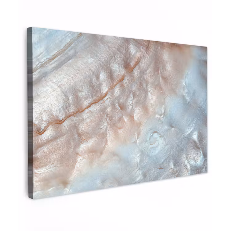 Schelpen - Abstract - Natuur Tuinposter op houten frame 2 cm dik klein -3d