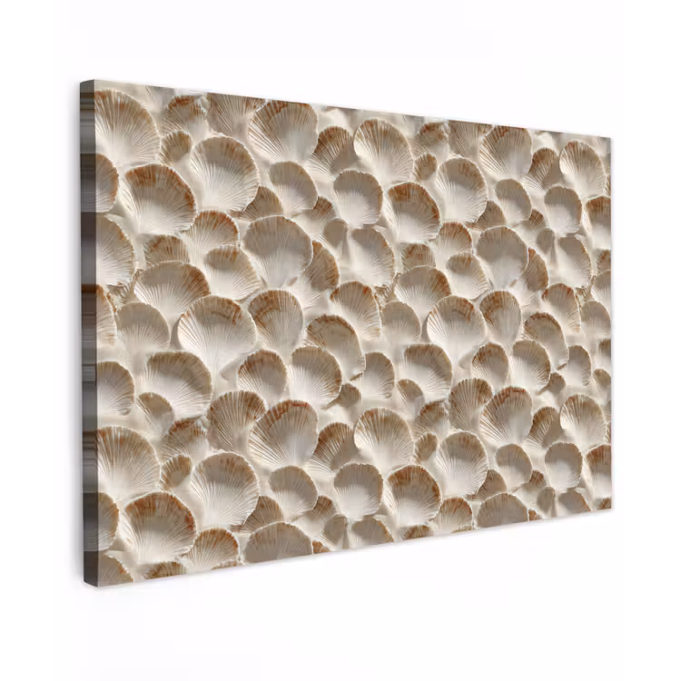 Schelpen - Waaiervorm - Wit Tuinposter op houten frame 2 cm dik klein 845 -3d