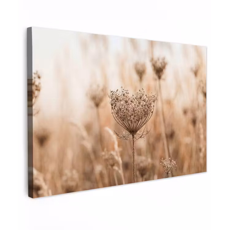 Schermbloem - Droogbloem - Winter - Beige - Minimalistisch Tuinposter op houten frame 2 cm dik klein -3d