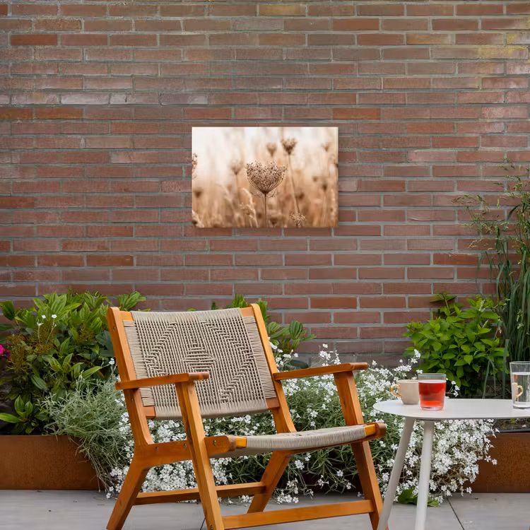 Schermbloem - Droogbloem - Winter - Beige - Minimalistisch Tuinposter op houten frame 2 cm dik klein -sfeer3