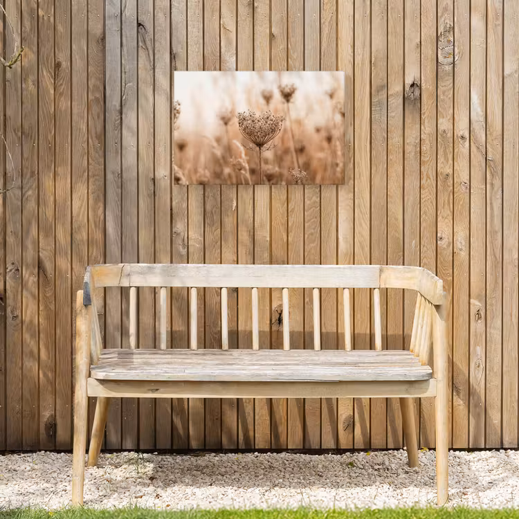 Schermbloem - Droogbloem - Winter - Beige - Minimalistisch Tuinposter op houten frame 2 cm dik klein -sfeer4