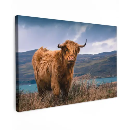 Schotse Hooglander - Berg - Water - Natuur - Koe Tuinposter op houten frame 2 cm dik klein -3d