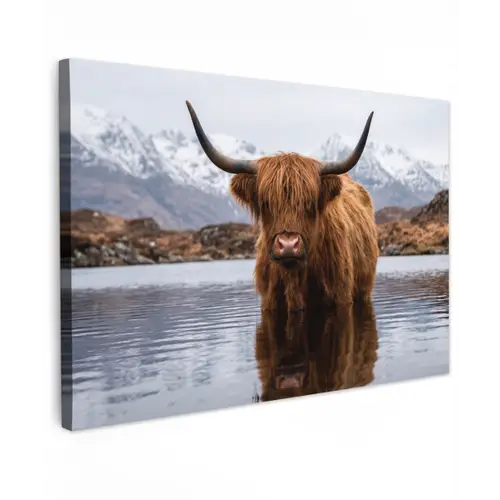 Schotse hooglander - Bruin - Water Tuinposter op houten frame 2 cm dik klein -3d