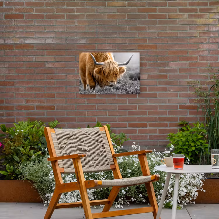Schotse Hooglander - Dieren - Bruin - Koe - Zwart - Wit - Natuur Tuinposter op houten frame 2 cm dik klein -sfeer3