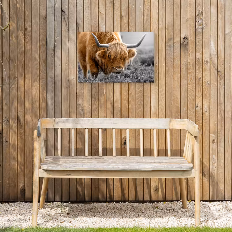 Schotse Hooglander - Dieren - Bruin - Koe - Zwart - Wit - Natuur Tuinposter op houten frame 2 cm dik klein -sfeer4