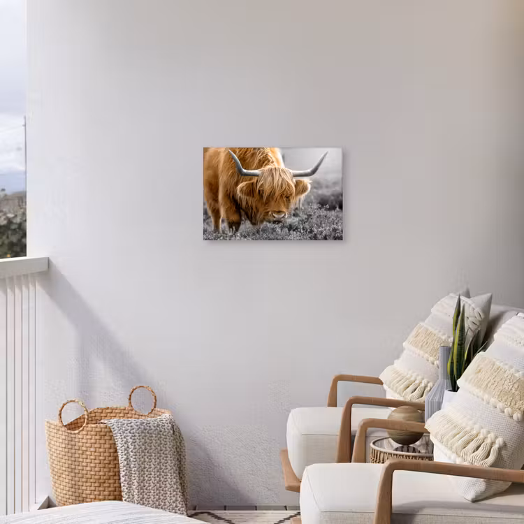 Schotse Hooglander - Dieren - Bruin - Koe - Zwart - Wit - Natuur Tuinposter op houten frame 2 cm dik klein -sfeer1
