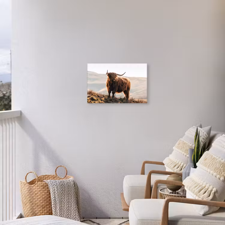 Schotse hooglander - Dieren - Landelijk - Landschap - Koe - Natuur Tuinposter op houten frame 2 cm dik klein -sfeer1