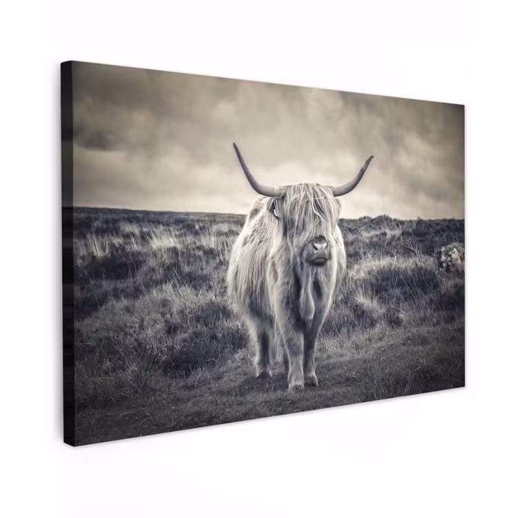 Schotse hooglander - Dieren - Wolken - Koe - Natuur Tuinposter op houten frame 2 cm dik klein -3d