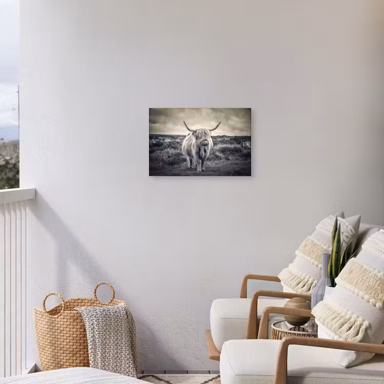 Schotse hooglander - Dieren - Wolken - Koe - Natuur Tuinposter op houten frame 2 cm dik klein -sfeer1