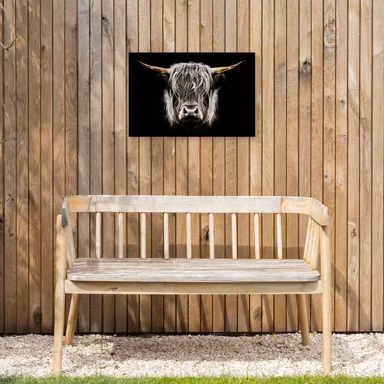 Schotse hooglander - Goud - Hoorns - Zwart wit - Koe - Dieren Tuinposter op houten frame 2 cm dik klein -sfeer4